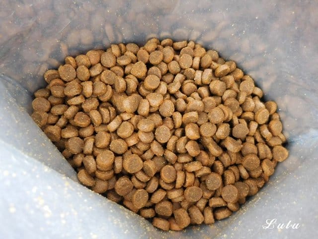 Holistic Blend – 牧野飛行全然寵物鮮糧。天狼星（原味火雞+鮭魚）。嗜口性佳，毛孩寶貝好愛吃。用最好的寵愛毛孩