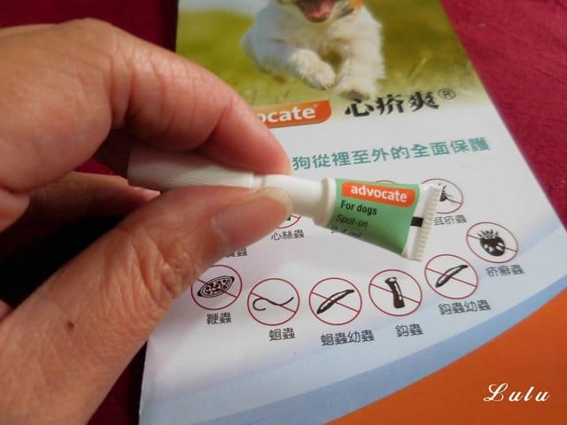 用拜耳愛護你的毛孩。advocate 心疥爽  & kiltix 吉樂帶 。給毛孩從裡至外的全面保護。驅除外寄生蟲頸圈