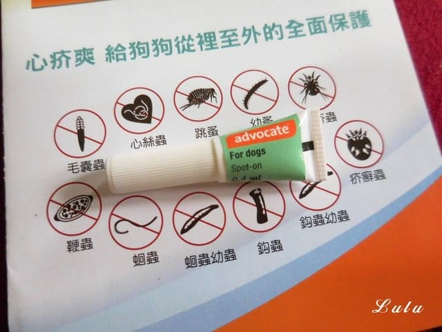 用拜耳愛護你的毛孩。advocate 心疥爽  & kiltix 吉樂帶 。給毛孩從裡至外的全面保護。驅除外寄生蟲頸圈