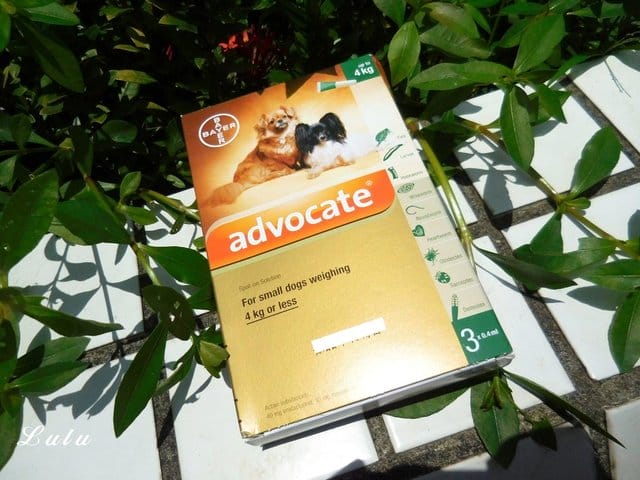 用拜耳愛護你的毛孩。advocate 心疥爽  & kiltix 吉樂帶 。給毛孩從裡至外的全面保護。驅除外寄生蟲頸圈