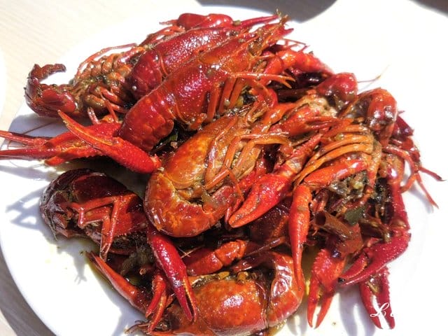 桃園吃到飽。港點大師桃園家樂福經國店。各式港點無限量供應吃到飽。麻辣小龍蝦/鮮蝦粉腸/腐皮蝦仁/奶皇流沙包/蠔汁鮮竹捲/蟹皇燒賣