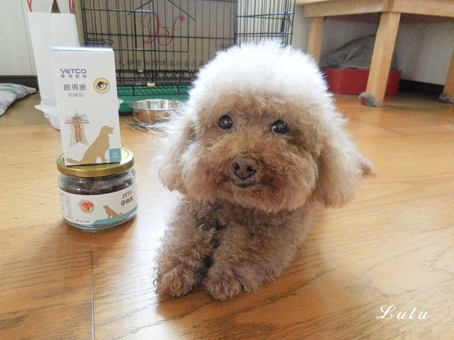 臺灣動藥。專for癌犬、狗狗眼睛保健。E癌能。眼得康。（汪星人專用）。嗜口性佳，寵物保健食品，狗狗營養品推薦