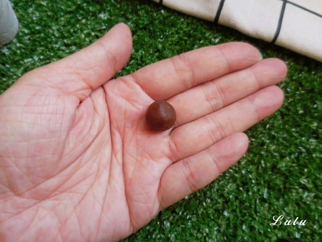 臺灣動藥。專for癌犬、狗狗眼睛保健。E癌能。眼得康。（汪星人專用）。嗜口性佳，寵物保健食品，狗狗營養品推薦