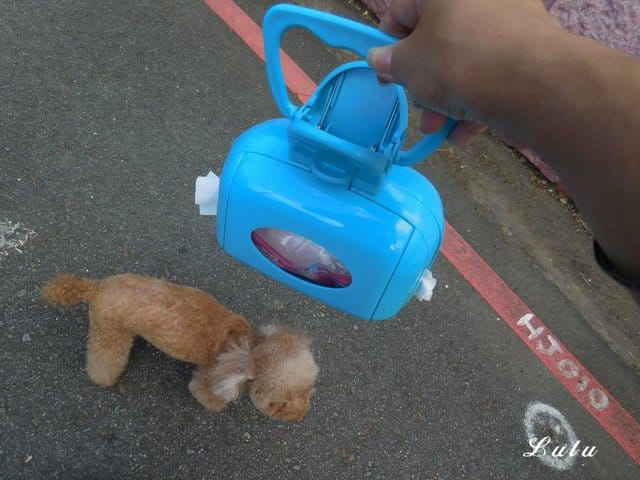 如何訓練毛孩上廁所！？撿便器/拾便器/夾便器。順便推薦狗狗外出用品，輕巧方便攜帶，毛孩外出便便不沾手