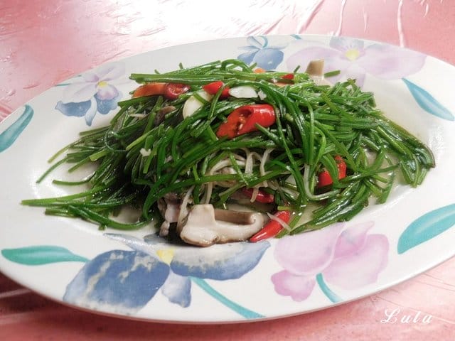 陽明山故鄉海芋餐廳。享受山產美食野菜。提供免費停車場。家族聚餐/三五好友/公司團體