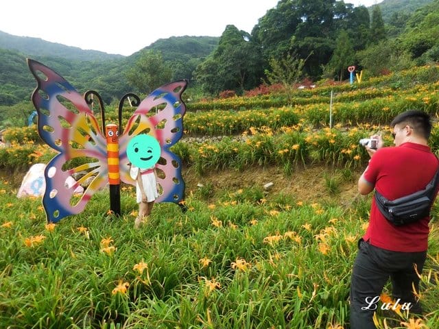 陽明山私房景點推薦。陽明山故鄉農場。陽明山金針花海半日遊。趁著9月前還沒凋謝趕緊衝一波