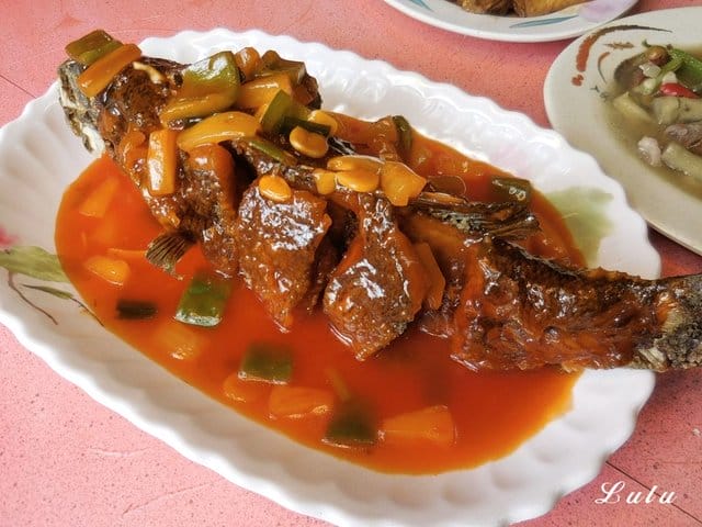 陽明山故鄉海芋餐廳。享受山產美食野菜。提供免費停車場。家族聚餐/三五好友/公司團體