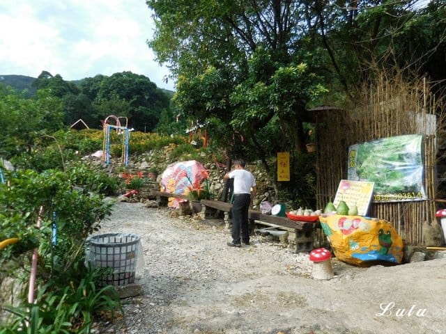 陽明山私房景點推薦。陽明山故鄉農場。陽明山金針花海半日遊。趁著9月前還沒凋謝趕緊衝一波