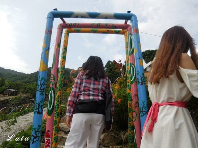 陽明山私房景點推薦。陽明山故鄉農場。陽明山金針花海半日遊。趁著9月前還沒凋謝趕緊衝一波