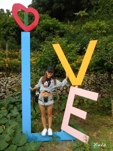 陽明山私房景點推薦。陽明山故鄉農場。陽明山金針花海半日遊。趁著9月前還沒凋謝趕緊衝一波
