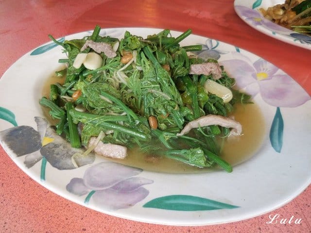 陽明山故鄉海芋餐廳。享受山產美食野菜。提供免費停車場。家族聚餐/三五好友/公司團體