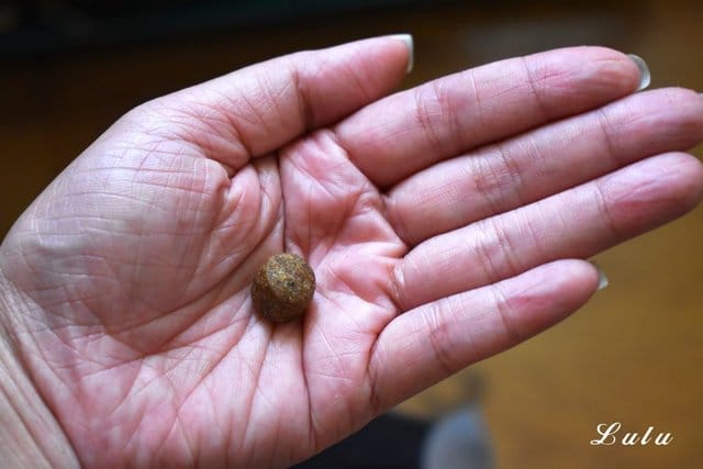 Nature’s Protection 自然本色（全犬種熱情紅毛配方）。針對毛孩毛色、體重、品種，特別挑選飼料。顆粒大小適中，咀嚼同時與牙齒產生摩擦力，餵養同時解決牙結石、口臭困擾
