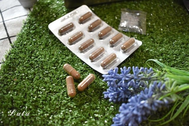 台研生醫牛樟芝。爆肝族強力推薦的護肝保養。台研生醫御品樟芝膠囊-台灣紅寶石。牛樟芝推薦