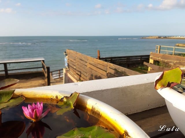 （文末優惠）北台灣必訪的海景下午茶。三芝夢想地圖Cafe海景會館。搭乘公車即可抵達的夢幻海灣景觀咖啡廳。用一杯咖啡完成你的夢想