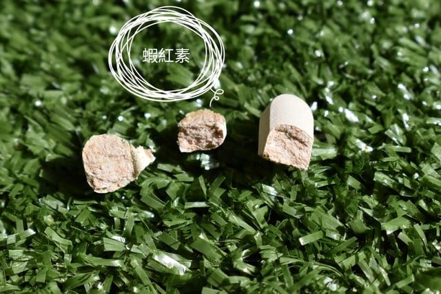 VISKIN保透皙錠。膠原蛋白錠推薦。肌膚散發自然透亮的秘密武器。水解型膠原蛋白+天然紅球藻純化蝦紅素+稀有元素及維生素群 複合配方