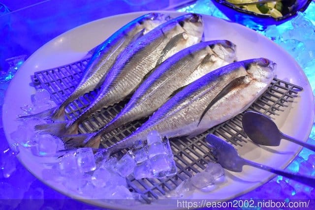 桃園海鮮百匯火烤兩吃吃到飽。文中海鮮百匯。澎湖產地直送。享受最新鮮的海陸雙饗