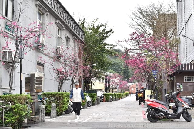 三峽老街一日遊。景點伴手禮推薦。台灣檜木館。又見面了設計師品牌過季名品暢貨中心。彰化社頭工廠直營棉襪特賣會