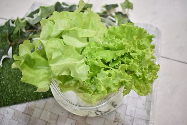 如何簡單快速吃出養生與健康！？NICE GREEn 美蔬菜，洗手後直接切菜，川燙或是冷拌沙拉，不用10分鐘，輕鬆快速上桌