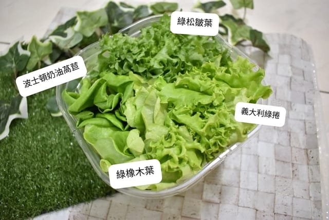 如何簡單快速吃出養生與健康！？NICE GREEn 美蔬菜，洗手後直接切菜，川燙或是冷拌沙拉，不用10分鐘，輕鬆快速上桌
