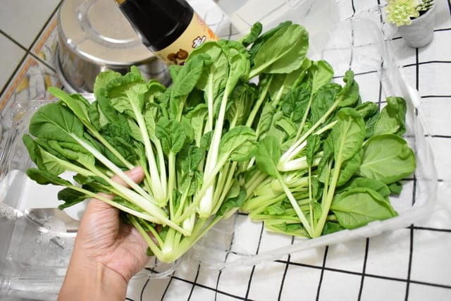 如何簡單快速吃出養生與健康！？NICE GREEn 美蔬菜，洗手後直接切菜，川燙或是冷拌沙拉，不用10分鐘，輕鬆快速上桌