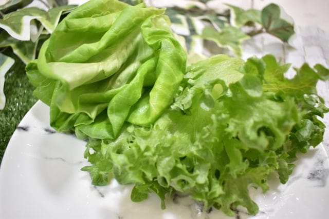 如何簡單快速吃出養生與健康！？NICE GREEn 美蔬菜，洗手後直接切菜，川燙或是冷拌沙拉，不用10分鐘，輕鬆快速上桌