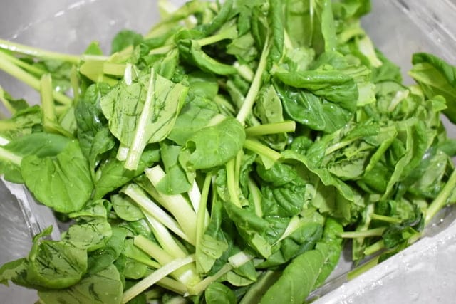 如何簡單快速吃出養生與健康！？NICE GREEn 美蔬菜，洗手後直接切菜，川燙或是冷拌沙拉，不用10分鐘，輕鬆快速上桌