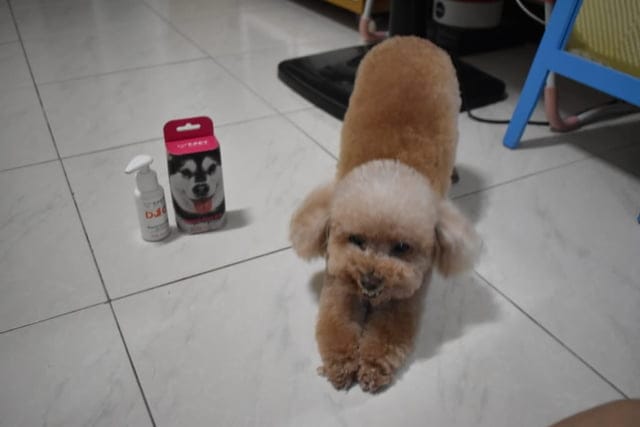 （文末抽獎）T-PET 迪貝多 狗狗潔牙凝膠。每週一次，輕鬆解決毛孩口臭問題。附潔牙指套，替毛孩刷牙其實一點也不困難