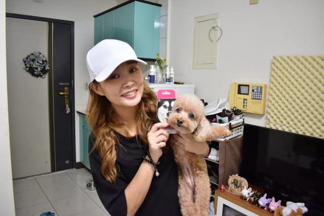 （文末抽獎）T-PET 迪貝多 狗狗潔牙凝膠。每週一次，輕鬆解決毛孩口臭問題。附潔牙指套，替毛孩刷牙其實一點也不困難