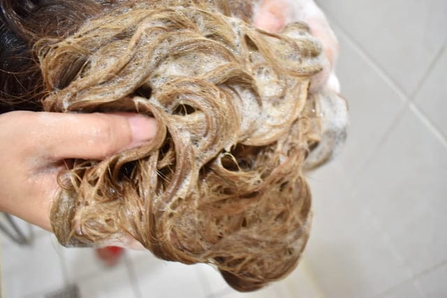 泰國洗髮露推薦。【Twin Lotus雙蓮】皇室草本系列 檸檬佛手柑洗髮露(去屑調理)/草本植物精華洗髮露(健康均衡)/金蠶絲蛋白洗髮露(全效修護)。頭皮清爽，髮絲柔順，易沖洗洗髮推薦
