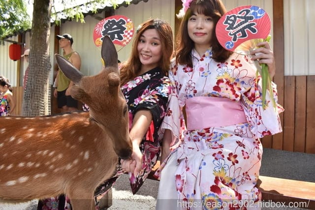 秒飛日本奈良餵鹿。療癒系的休閒活動。宜蘭三星景點。#張美阿嬤農場。體驗日本和服，餵溫馴可愛的梅花鹿