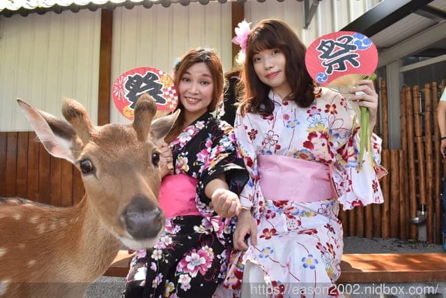 秒飛日本奈良餵鹿。療癒系的休閒活動。宜蘭三星景點。#張美阿嬤農場。體驗日本和服，餵溫馴可愛的梅花鹿
