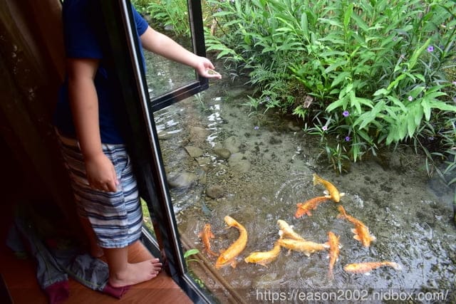 鯉魚潭周邊民宿推薦。#潭心閣民宿。客製化的早餐/備品齊全/小木屋的設計/餵魚趣。風光明媚的渡假聖地
