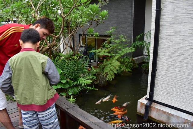 鯉魚潭周邊民宿推薦。#潭心閣民宿。客製化的早餐/備品齊全/小木屋的設計/餵魚趣。風光明媚的渡假聖地