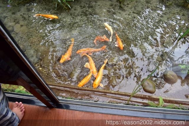 鯉魚潭周邊民宿推薦。#潭心閣民宿。客製化的早餐/備品齊全/小木屋的設計/餵魚趣。風光明媚的渡假聖地