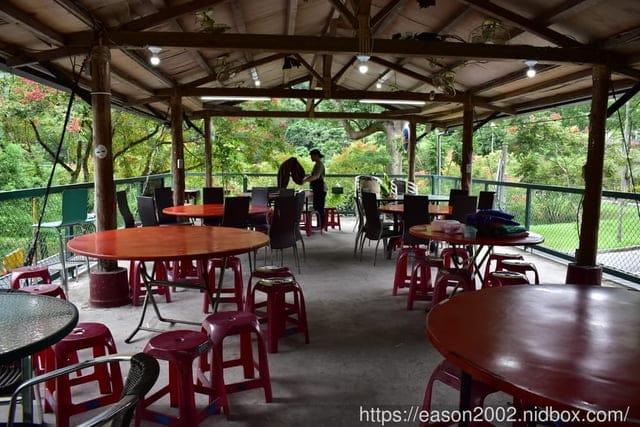 鯉魚潭周邊美食。#樹屋餐廳。正統的花蓮原住民美食，桶仔雞/刺蔥煎蛋/炒青菜/黃蒜白蝦
