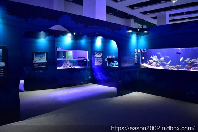 【基隆景點】國立海洋科技博物館主題館 1F 特展廳。海洋嘉年華—趣味海洋生物特展。一起探索海底世界的奧妙