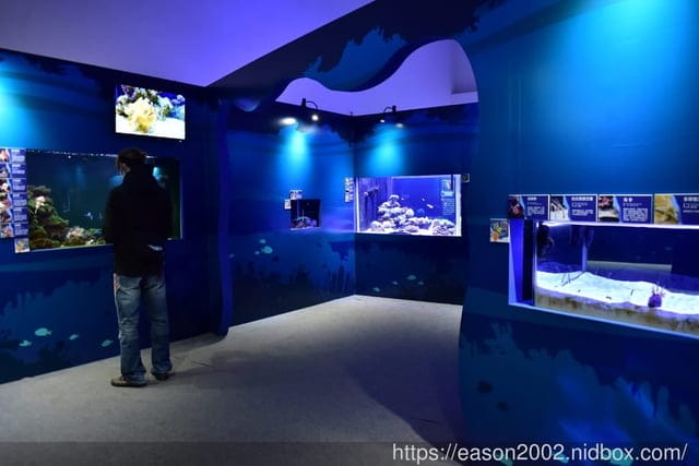 【基隆景點】國立海洋科技博物館主題館 1F 特展廳。海洋嘉年華—趣味海洋生物特展。一起探索海底世界的奧妙