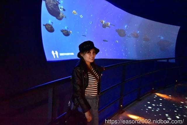 【基隆景點】國立海洋科技博物館主題館 1F 特展廳。海洋嘉年華—趣味海洋生物特展。一起探索海底世界的奧妙