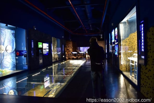 【基隆景點】國立海洋科技博物館主題館 1F 特展廳。海洋嘉年華—趣味海洋生物特展。一起探索海底世界的奧妙