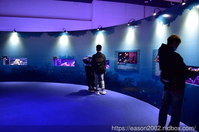 【基隆景點】國立海洋科技博物館主題館 1F 特展廳。海洋嘉年華—趣味海洋生物特展。一起探索海底世界的奧妙