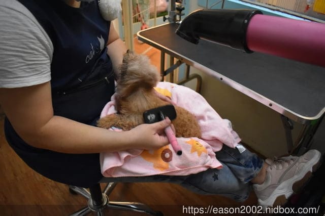 台中寵物美容推薦。Happy Dog 寵物精品沙龍。收費公道合理，美容師親切好相處，易溝通