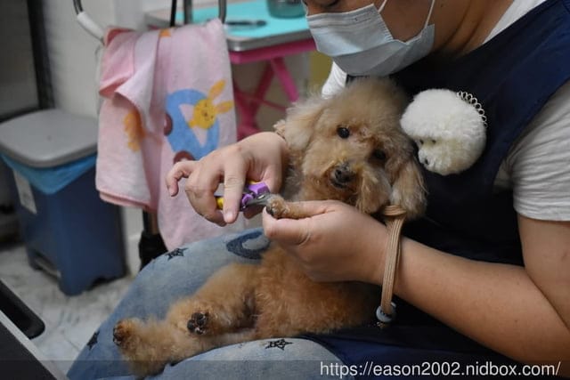 台中寵物美容推薦。Happy Dog 寵物精品沙龍。收費公道合理，美容師親切好相處，易溝通