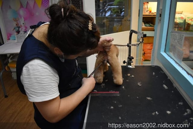 台中寵物美容推薦。Happy Dog 寵物精品沙龍。收費公道合理，美容師親切好相處，易溝通