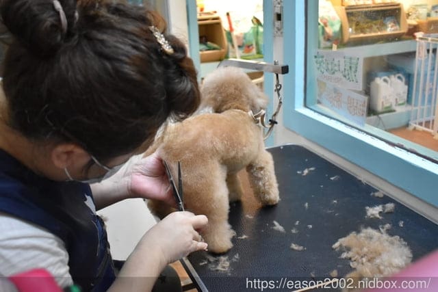 台中寵物美容推薦。Happy Dog 寵物精品沙龍。收費公道合理，美容師親切好相處，易溝通