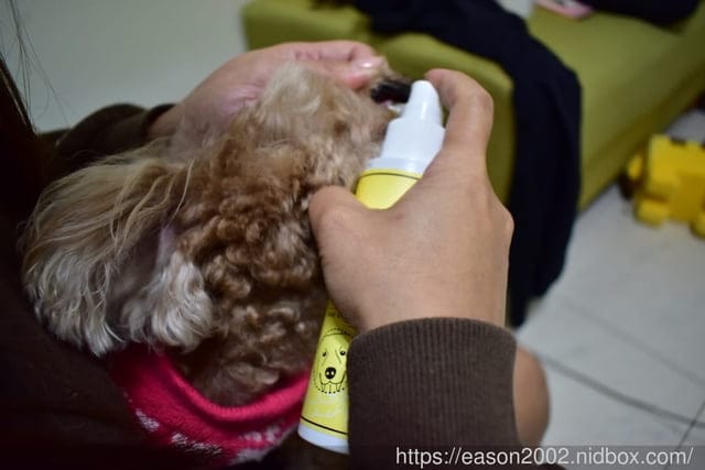 阿凡達寵物用品推薦。阿凡達-犬潔牙膠(牛肉）/阿凡達-滴眼液(犬)/狗貓抗菌濕巾