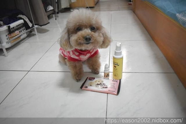 阿凡達寵物用品推薦。阿凡達-犬潔牙膠(牛肉）/阿凡達-滴眼液(犬)/狗貓抗菌濕巾