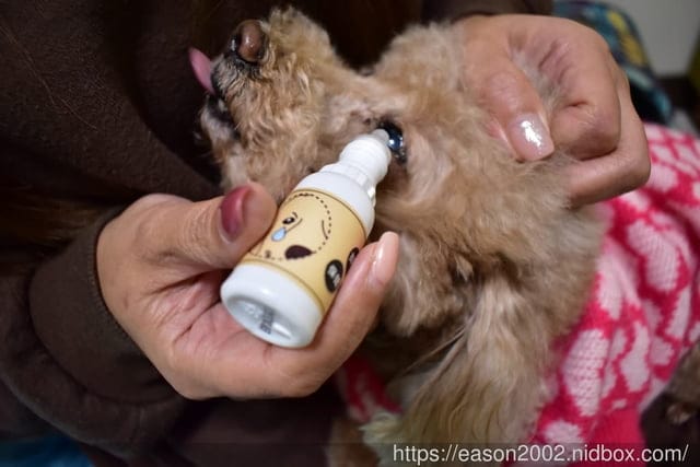 阿凡達寵物用品推薦。阿凡達-犬潔牙膠(牛肉）/阿凡達-滴眼液(犬)/狗貓抗菌濕巾
