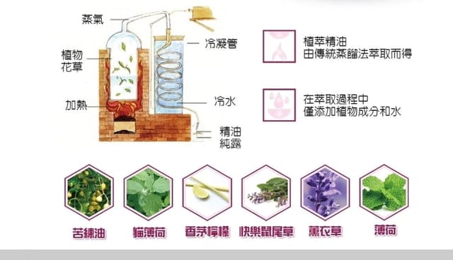防疫大作戰，居家隔離，也要做好居家環境整潔。COSTLE植淨驅蟲地板清潔劑＆噴霧
