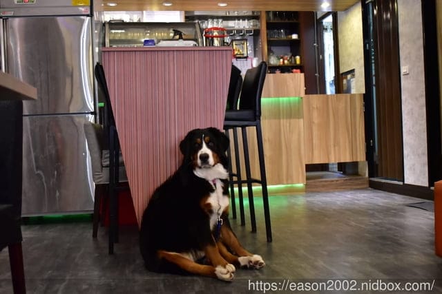 西門町早午餐。Bear Junkies 熊飲（早午餐/酒吧）。週末悠閒愉悅的早午餐