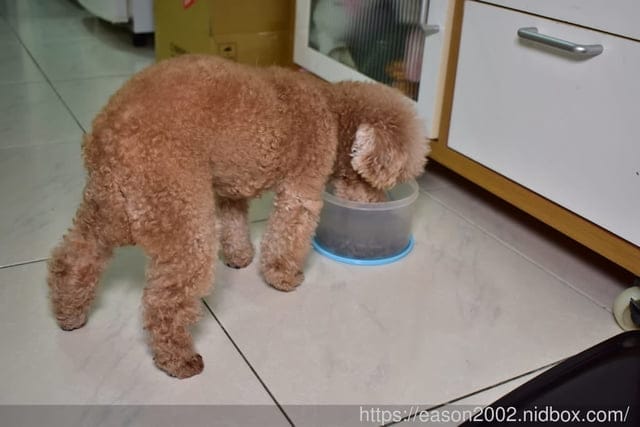 嗜口性最佳的寵物飼料推薦。ZIWI巔峰狗飼料。紐西蘭巔峰鮮肉狗糧，不含肉粉、抗生素及穀物、米、馬鈴薯，毛孩食用好安心